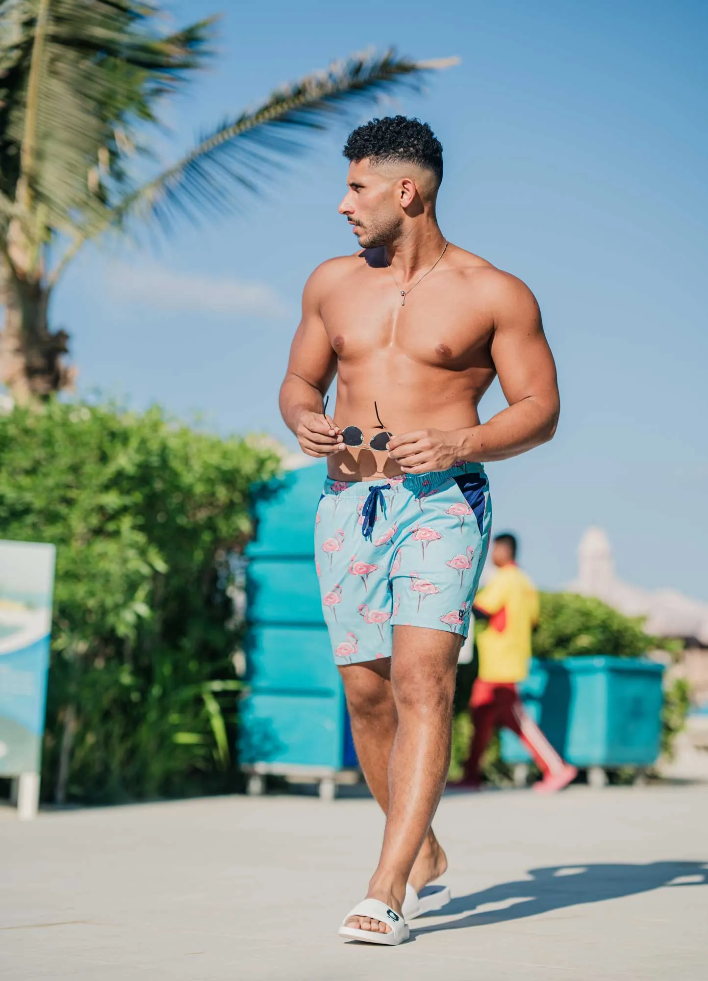 Flamingos - Men's Swim Shorts